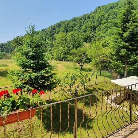Bran 99 Villa Ngoại thất bức ảnh
